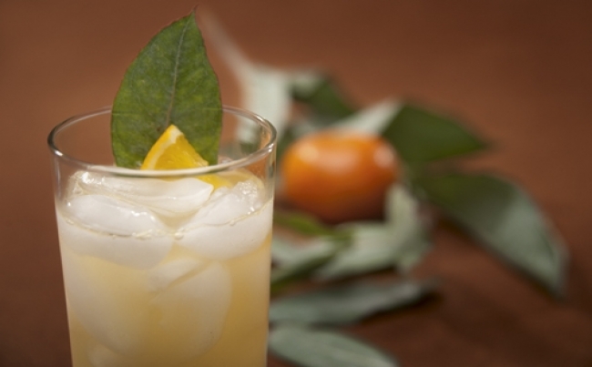 Chilcano de eucalipto y mandarina del Mayta